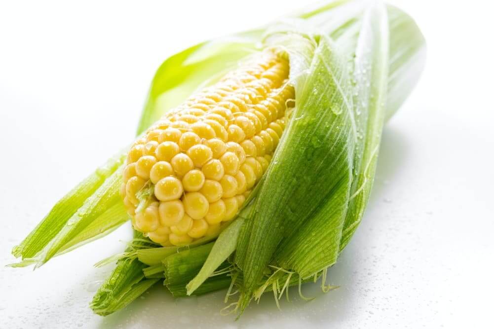quanto custa seguro agrícola