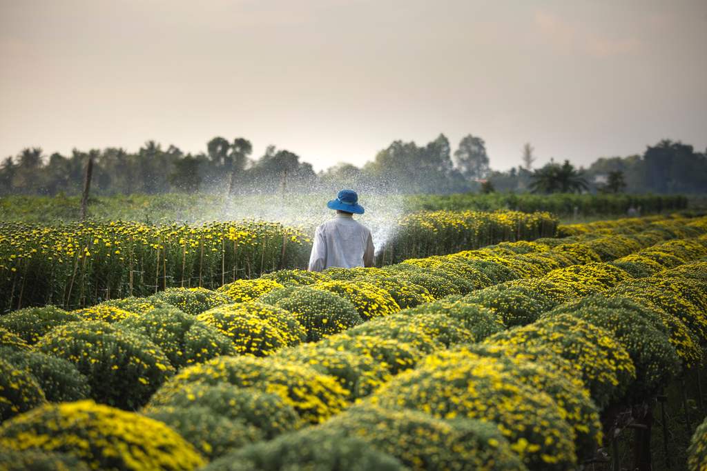 agricultura familiar conclusão
