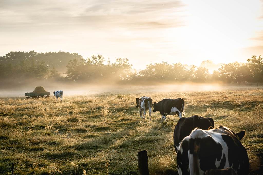 gestão da propriedade rural conclusão