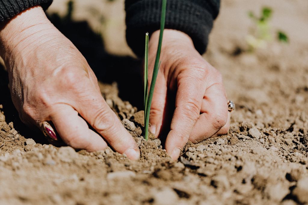 principais programas de apoio a agricultura familiar